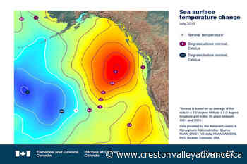 Federal report shows the impact of warming oceans on B.C. coast - Creston Valley Advance