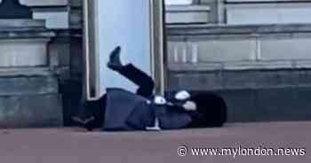 Buckingham Palace guard sent flying as he lands flat on his back after slipping - My London