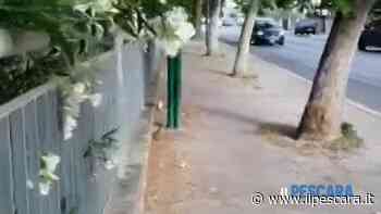 VIDEO | Scivolo pieno di erbacce tra via Dalla Chiesa e via Caravaggio: "Non ci si passa più" - IlPescara