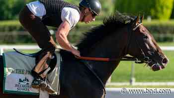 Analysis: We The People the pick in Belmont Stakes - Belleville News-Democrat