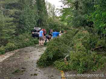 Most Hastings County residents back online: Hydro One - Belleville Intelligencer