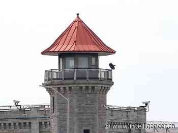 Collins Bay Institution staff seize contraband from suspected drone drops - Belleville Intelligencer