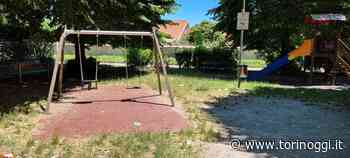 Pinerolo: volontari all’opera domani nel parco di Abbadia Alpina - TorinOggi.it