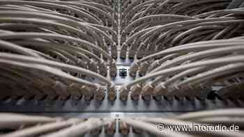 Warum die Digitalisierung der Verwaltung scheitert | rbb24 Inforadio - Inforadio vom rbb