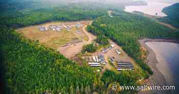 Federal regulator assessing Marathon Gold project in central Newfoundland - Saltwire