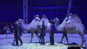 Der Zirkus Renz bringt Kamele in die Manege