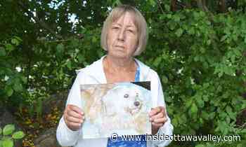 'Animals are suffering': Pet owners concerned about veterinary service shortage in Renfrew and area - Ottawa Valley News