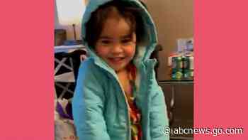 WATCH:  Watch this toddler's adorable method for putting on a coat