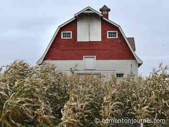 Saturday's letters: U of A should keep barn, garden