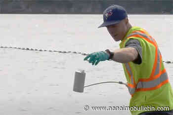 City of Nanaimo checking water cleanliness at outdoor swimming holes – Nanaimo News Bulletin - Nanaimo Bulletin