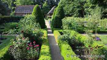 Angebote im Landkreis Cloppenburg: Gärten öffnen am Sonntag ihre Pforten - Nordwest-Zeitung