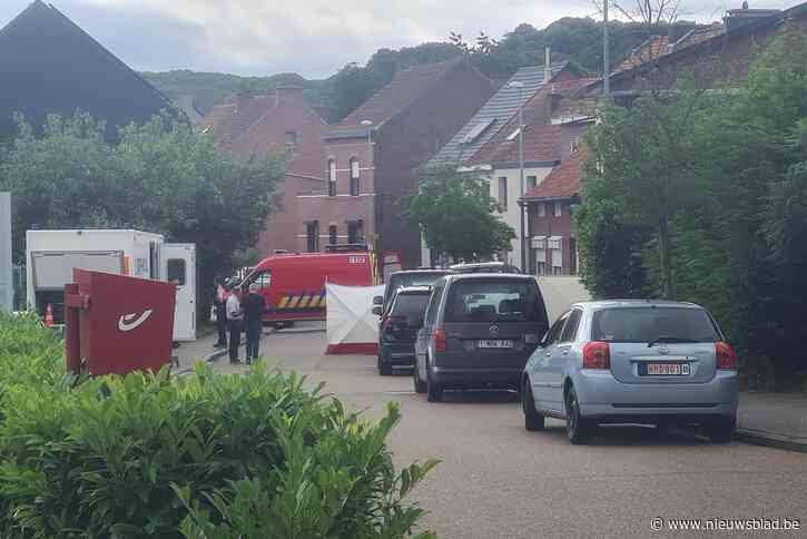 Drie doden aangetroffen in woning in Kessel-Lo: slachtoffers zijn bewoonster (54), zoon (23) en vriend des huizes (47)
