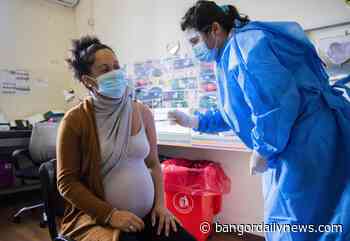 Coronavirus infection during pregnancy linked to brain development problems in babies - Bangor Daily News