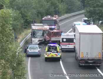 Gravissimo incidente sulla variante tra Strevi e Acqui - L'Ancora