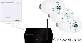 Blossom-ic kombiniert Regelung von Zirkulationspumpen mit digitalem hydraulischem Abgleich