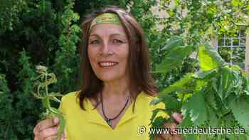 Kräuterexpertin: „Brennnessel ist das absolute Superfood“ - Dachau - SZ.de - Süddeutsche Zeitung - SZ.de