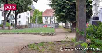 Marianne Cope Garten in Heppenheim wird wieder geöffnet - Echo Online