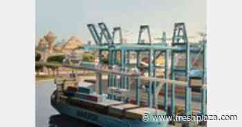 Reach new heights with the power of integrated logistics - FreshPlaza.com