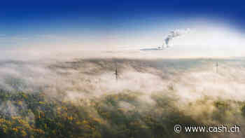 Umwelt - Angst vor Greenwashing: Supperreiche schauen bei ESG genauer hin