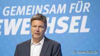 Der Tankrabatt versickert: Kritik an Wirtschaftsminister Habeck - Wirtschaft - Bild.de - BILD