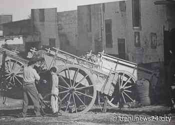 La Trani di una volta: “uomini e carri in via Lionelli” - Trani News24 City