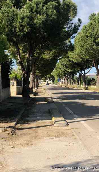 Trani, finalmente arrivano i rallentatori di velocità anche su via Malcangi e via Martiri di Palermo - Radio Bombo
