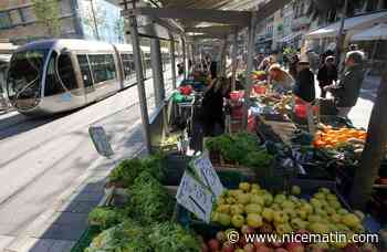 Un conducteur de tram agressé dans la rame sur la ligne 1 à Nice