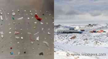 Is it a warning? Microplastics breach another frontier, now found in freshly fallen snow in Antarctica - WION