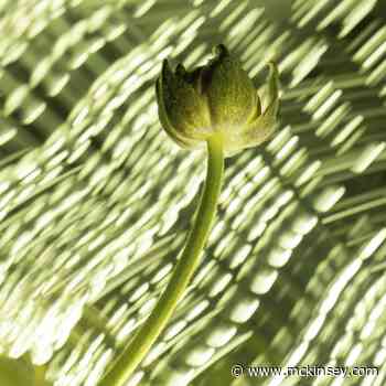 The next frontier for AI in China could add $600 billion to its economy - McKinsey