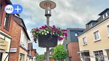 Sehnde: 22 Blumenampeln bieten Lebensraum für Insekten - HAZ