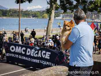 600 Menschen demonstrieren in Genf gegen Freihandel