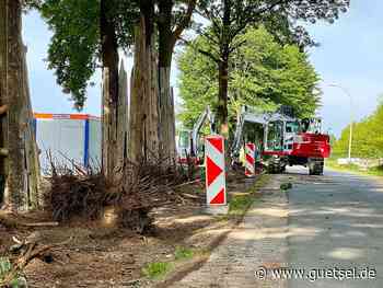 Rietberg, Bau eines neuen Radweges vor dem Kindergarten, Stadt sorgt für sicheren Weg für Kinder, Gütsel Online, OWL live - Gütsel