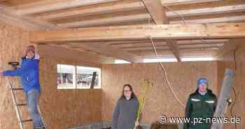 Am Bau ist tierisch was los: Für Bauschlotter Auenhof entsteht ein neuer Ziegenstall - Region - Pforzheimer Zeitung