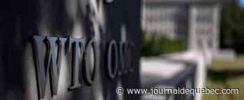 Genève : des centaines de manifestants dénoncent le rôle de l’OMC dans l’agriculture