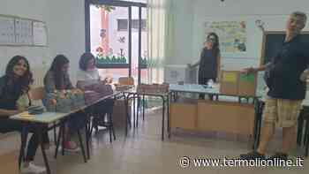 Verso i Referendum sulla giustizia: allestiti i seggi in città - Termoli Online