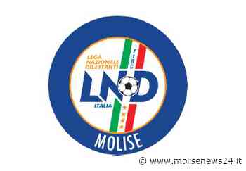 Festa Provinciale – Triangolare Finale del Torneo Esordienti 9c9 a Termoli - Molise News 24