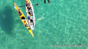 Sport e promozione del territorio: Decathlon lancia collezione con il logo “SEA Brindisi” - BrindisiReport