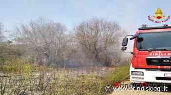 Incendi in tutta la provincia di Brindisi, le fiamme minacciano anche la zona industriale - BrindisiOggi