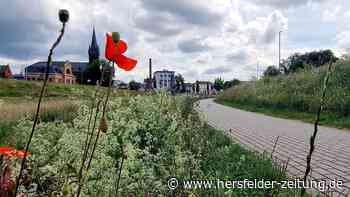 Rückschlag für Dromos-Projekt in Bad Hersfeld: Neue Auflagen für Fördergeld aus Berlin - hersfelder-zeitung.de