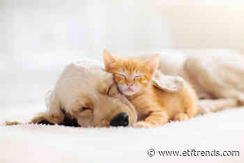 A Pet Care ETF Could Hold Up Better Than Other Retail Categories - ETF Trends