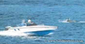 Speedboat driver fined £200 for steering recklessly towards 'panicked' dolphins - Hull Live