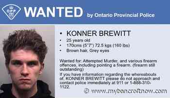 Bancroft OPP on the lookout for attempted murder suspect - mybancroftnow.com