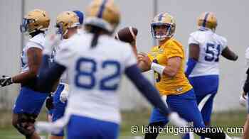 Bombers confident in Collaros as they chase third consecutive Grey Cup - Lethbridge News Now