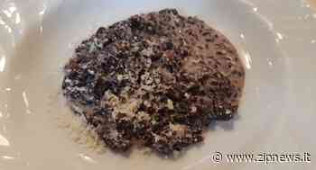 Zipnews.it Wine & Rice tasting experience al Giardinetto di Vercelli - ZipNews