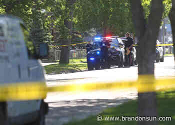 Three dangerous situations, three lives spared - The Brandon Sun