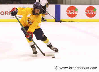 Grieco family has WHL roots - The Brandon Sun