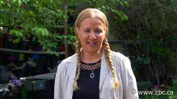 How native plants can save you money and trouble