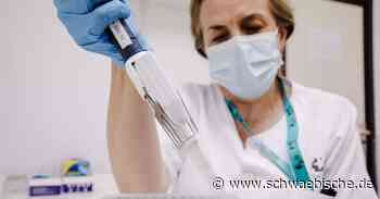 Affenpocken erreichen den Kreis Ravensburg | schwäbische - Schwäbische