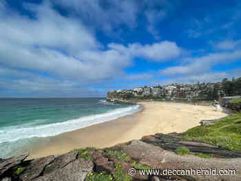 Sydney: Together we grow - Deccan Herald