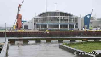What's causing a stink in Sydney harbour? The answer is unclear - CBC.ca